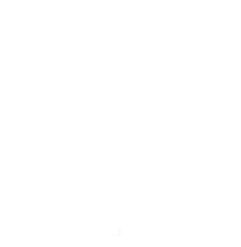 Logo Aila