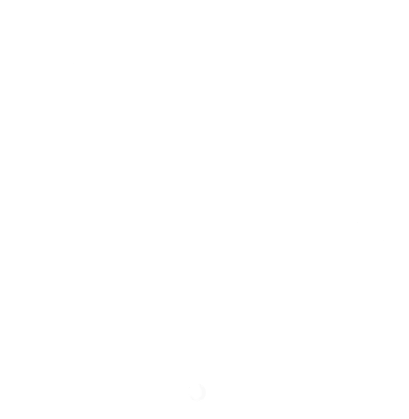 Logo Aila